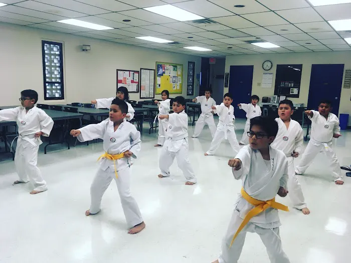 Misiano's Taekwondo Picture 1