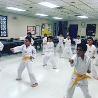 Misiano's Taekwondo ico