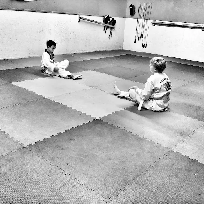 Misiano's Taekwondo Picture 2