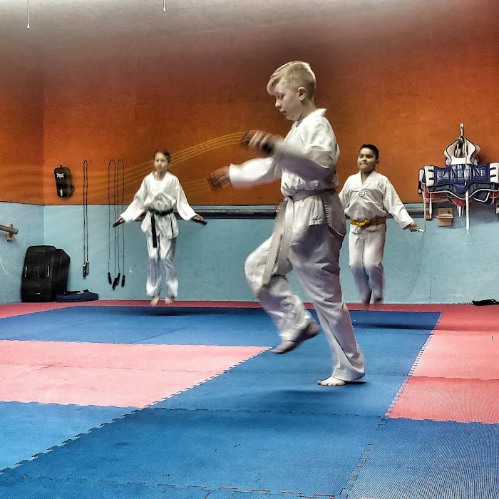 Misiano's Taekwondo Picture 8
