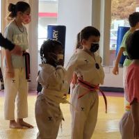 KOREAN TIGER MARTIAL ARTS TKD ico