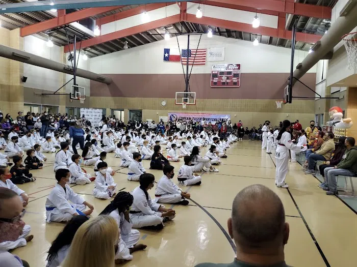 KOREAN TIGER MARTIAL ARTS TKD Picture 4