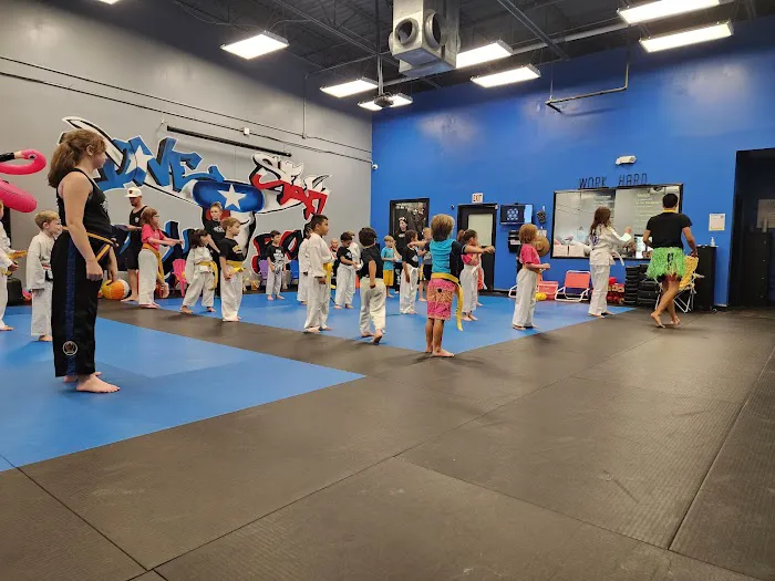 Lone Star Black Belt Academy Picture 7