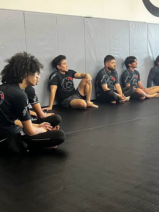 360 Jiu Jitsu Picture 2