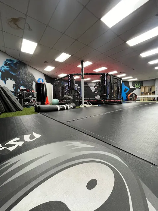Team One Mixed Martial Arts Picture 2