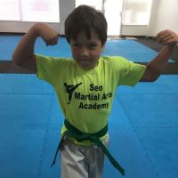 Seo Martial Arts Academy ico