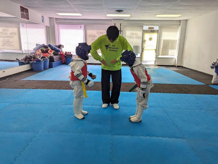 Seo Martial Arts Academy Picture 4