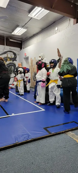 Grandmaster BSAK Karate Academy Picture 5