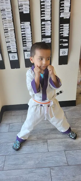 TX Black Belt Academy Burleson Picture 1