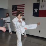 Academy of Okinawan Karate WAMA