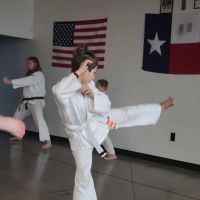 Academy of Okinawan Karate WAMA ico