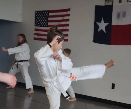 Academy of Okinawan Karate WAMA