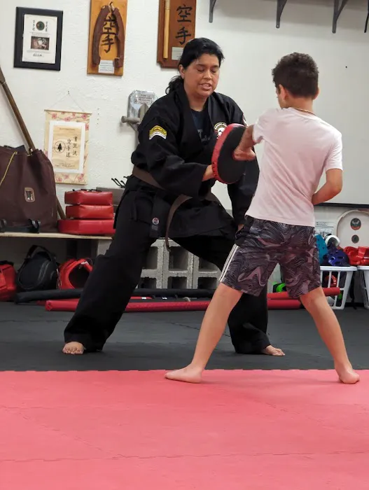 Academy of Okinawan Karate WAMA Picture 3