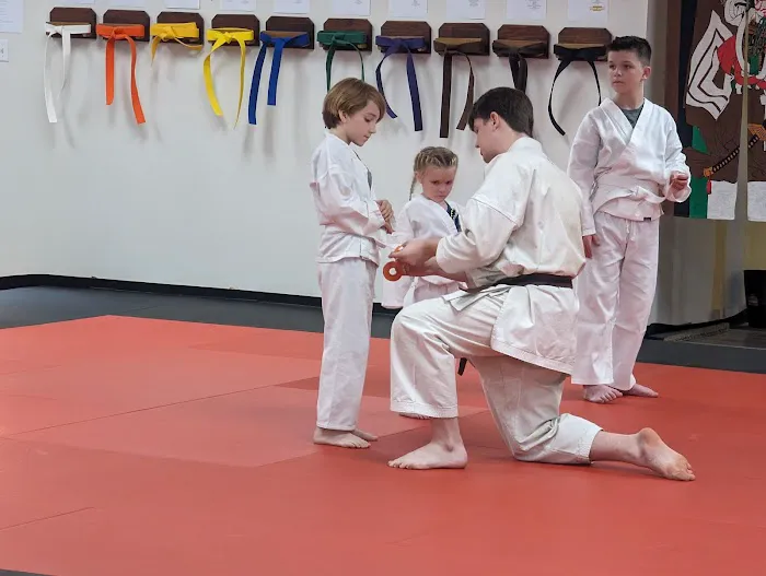 Academy of Okinawan Karate WAMA Picture 5