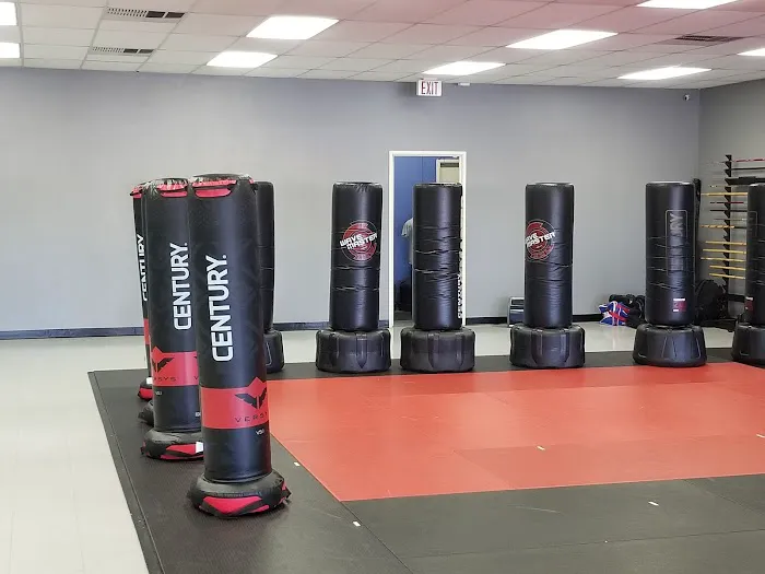 Mathis Martial Arts Picture 1
