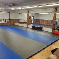 J Pat Burleson Martial Arts ico