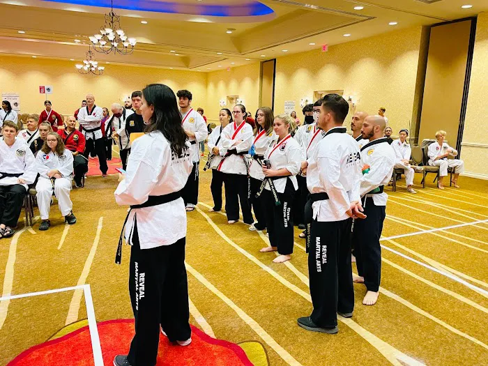Reveal Martial Arts Alliance Picture 2