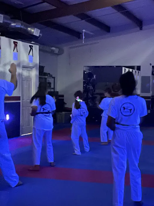 Croft Martial Arts Picture 2