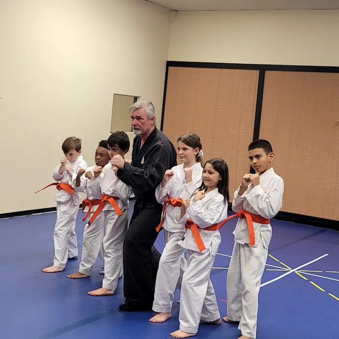 Ellis County Martial Arts Picture 3