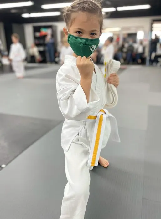 Boon Martial Arts Picture 4