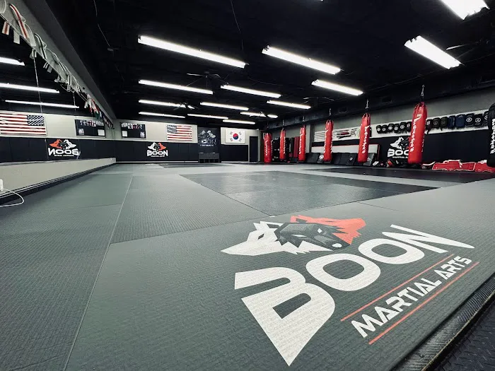 Boon Martial Arts Picture 7