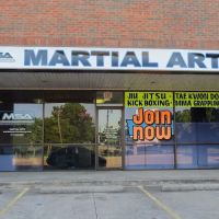MSA Martial Arts ico