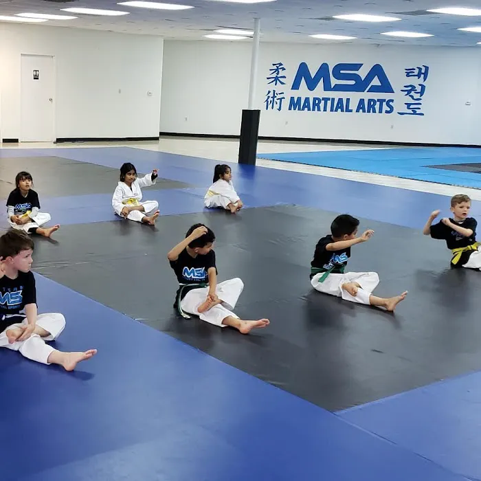 MSA Martial Arts Picture 4