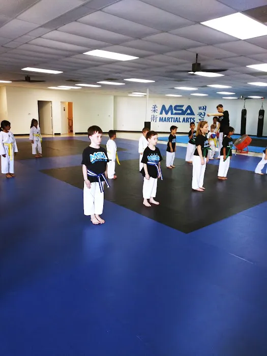 MSA Martial Arts Picture 6