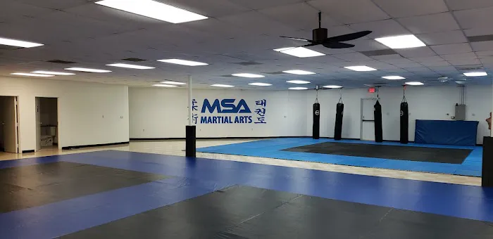 MSA Martial Arts Picture 8