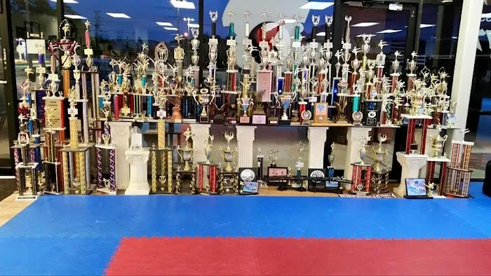 Excel Academy of Tae Kwon Do Picture 3