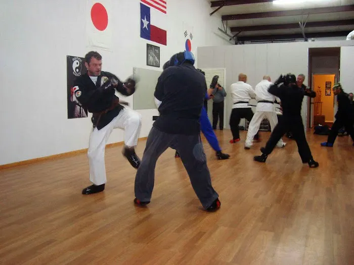 Texas IsshinRyu Karate Academy Picture 4