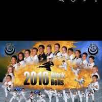 Hwang Martial Arts ico