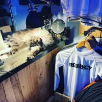 Frequency BJJ & Fitness ico