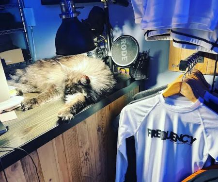 Frequency BJJ & Fitness