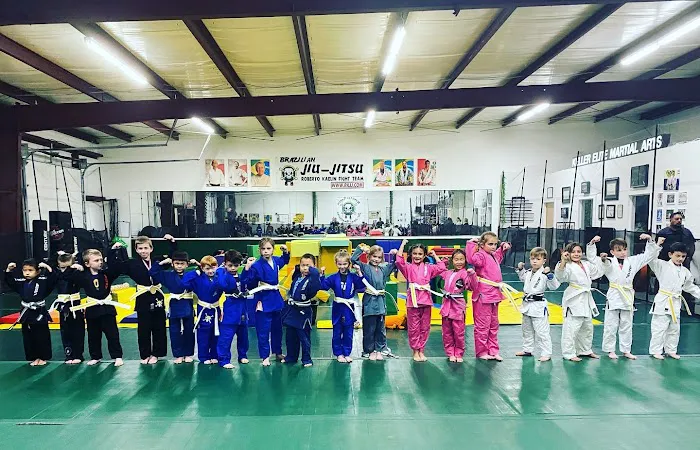 Keller Elite Martial Arts | Brazilian Jiu-Jitsu Judo MMA Picture 3