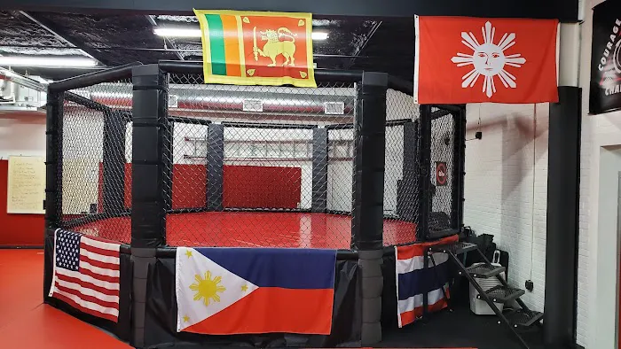 Dallas-Fort Worth Jeet Kune Do Academy Picture 6