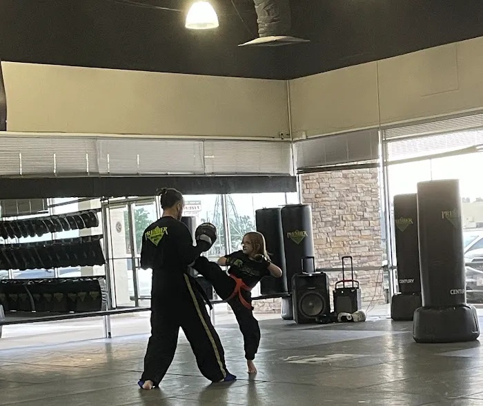 Premier Martial Arts Picture 3