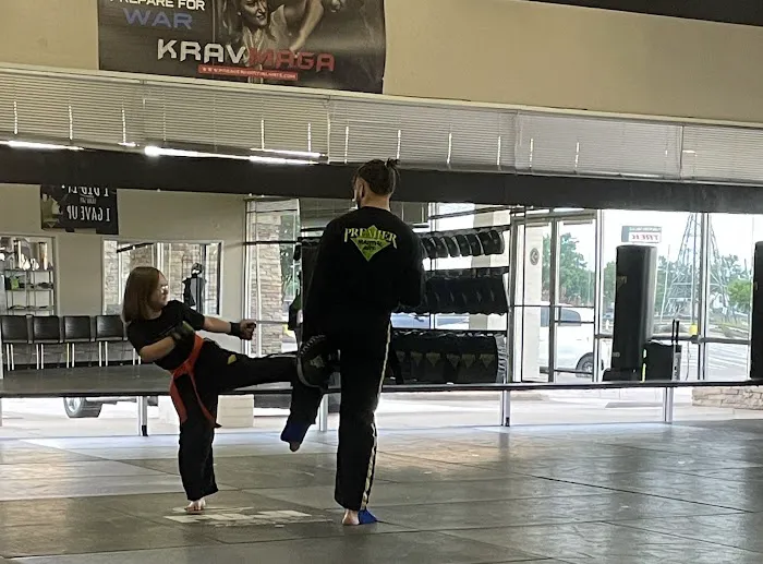 Premier Martial Arts Picture 2