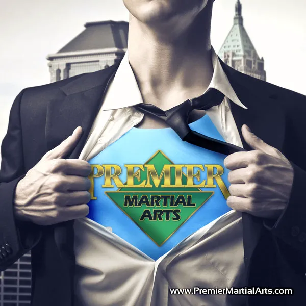 Premier Martial Arts Picture 6