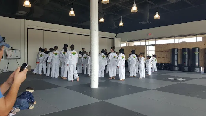 Premier Martial Arts Picture 5