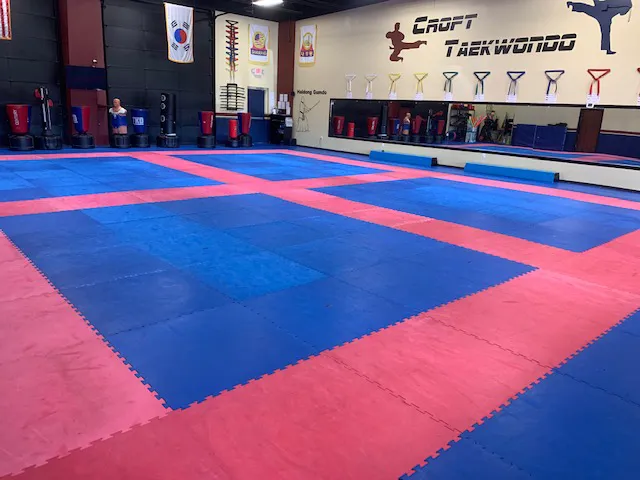 Croft Taekwondo Academy Picture 1