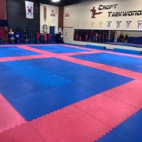 Croft Taekwondo Academy ico