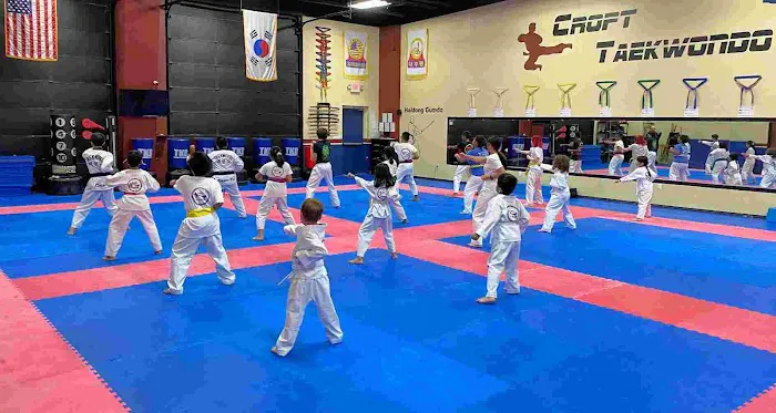 Croft Taekwondo Academy Picture 8