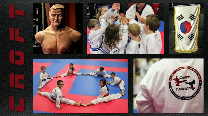 Croft Taekwondo Academy Picture 10