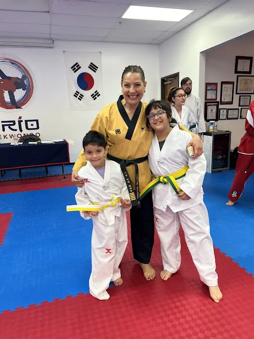 Brio Taekwondo Picture 7