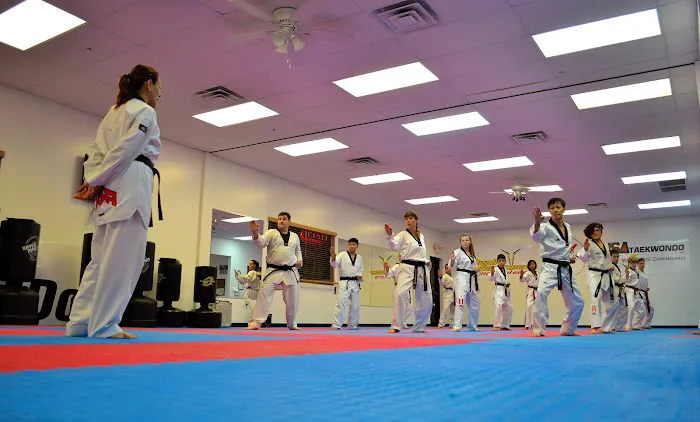 Brio Taekwondo Picture 8