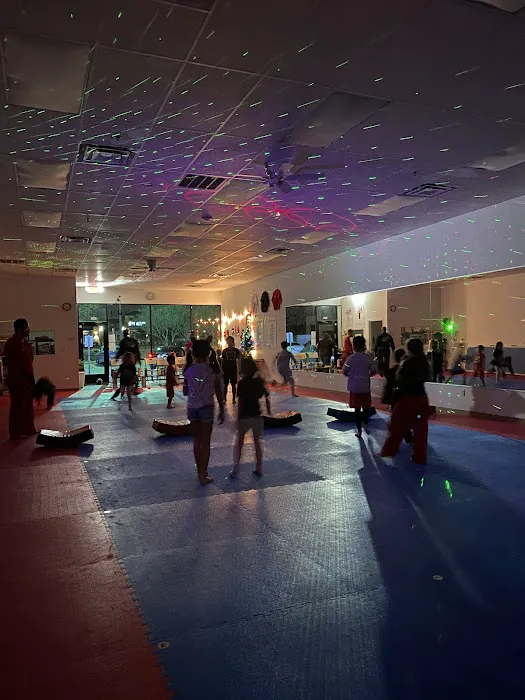 J Tiger Martial arts Picture 2