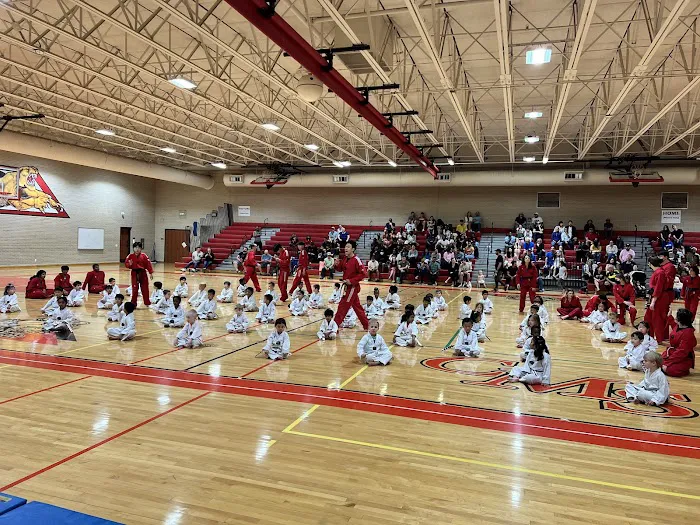 J Tiger Martial arts Picture 6