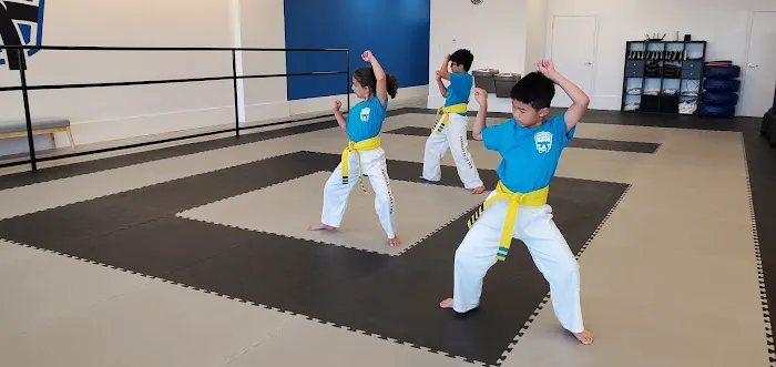 Tarrant Elite Taekwondo Picture 2