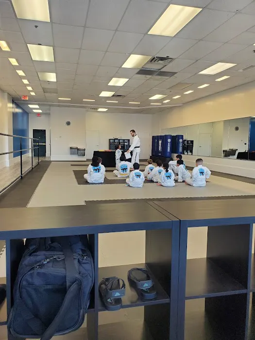 Tarrant Elite Taekwondo Picture 6